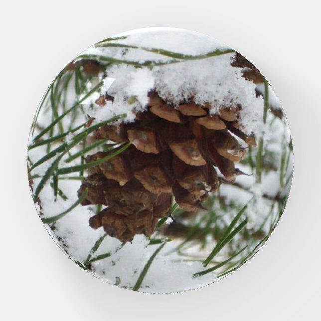 Snowy Pine Cone I Winter Nature Photography Paperweight (Front)