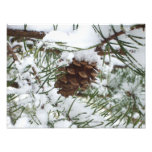 Snowy Pine Cone I Winter Nature Photography Photo Print