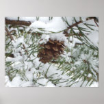 Snowy Pine Cone I Winter Nature Photography Poster