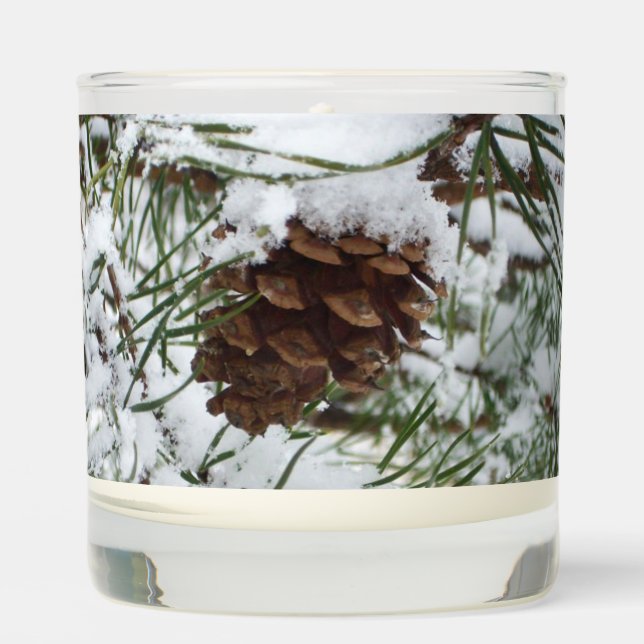 Snowy Pine Cone I Winter Nature Photography Scented Candle (Front)