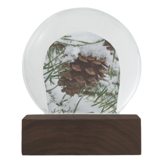 Snowy Pine Cone I Winter Nature Photography Snow Globe (Front)