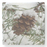 Snowy Pine Cone I Winter Nature Photography Stone Coaster
