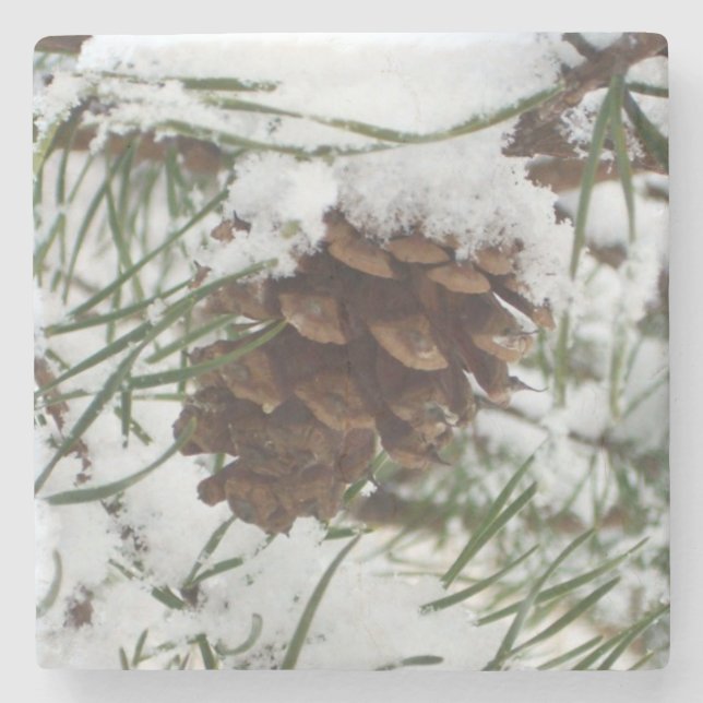 Snowy Pine Cone I Winter Nature Photography Stone Coaster (Front)