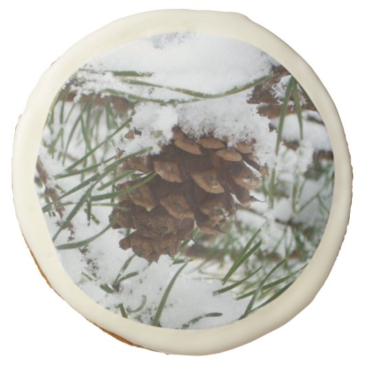 Snowy Pine Cone I Winter Nature Photography Sugar Cookie (Front)