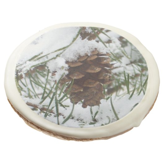Snowy Pine Cone I Winter Nature Photography Sugar Cookie (Angled)