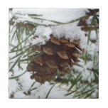 Snowy Pine Cone I Winter Nature Photography Tile