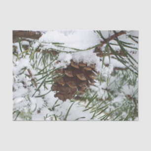 Snowy Pine Cone I Winter Nature Photography Tissue Paper