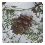 Snowy Pine Cone I Winter Nature Photography Trivet