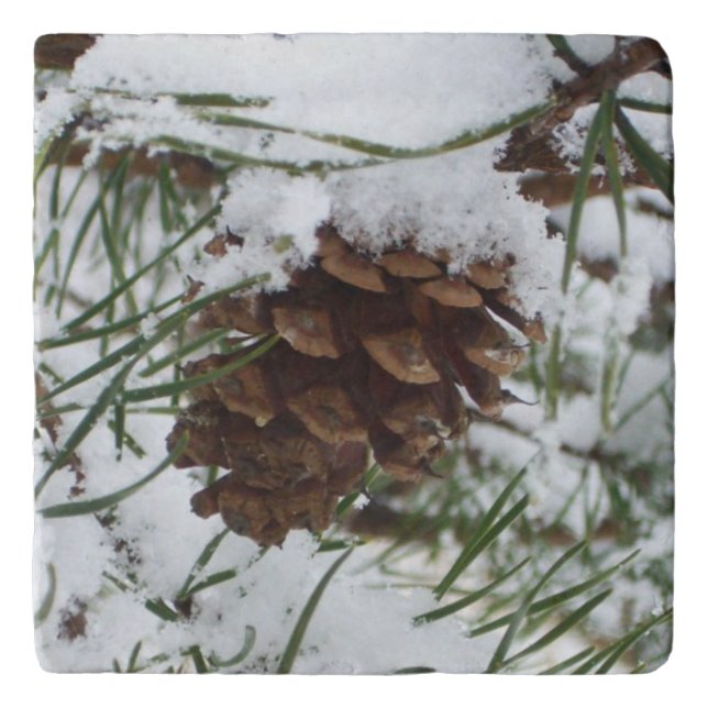 Snowy Pine Cone I Winter Nature Photography Trivet (Front)