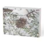 Snowy Pine Cone I Winter Nature Photography Wooden Box Sign