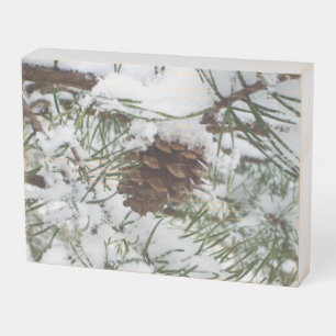 Snowy Pine Cone I Winter Nature Photography Wooden Box Sign