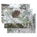 Snowy Pine Cone I Winter Nature Photography Wrapping Paper Sheets