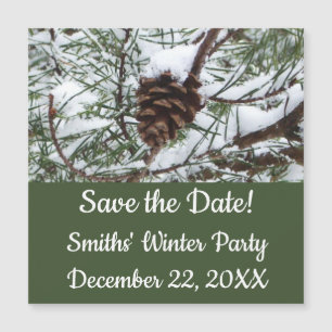 Snowy Pine Cone II Winter Nature Photography