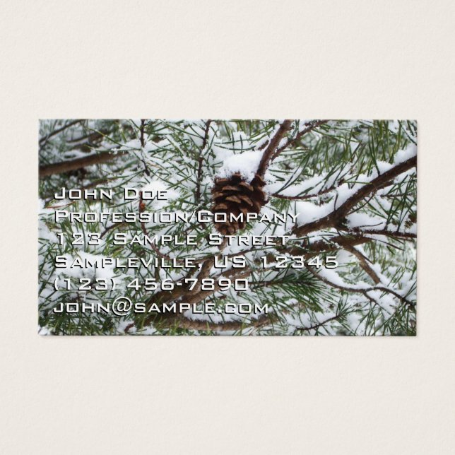 Snowy Pine Cone II Winter Nature Photography (Front)