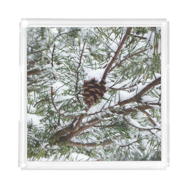 Snowy Pine Cone II Winter Nature Photography Acrylic Tray (Front)