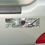 Snowy Pine Cone II Winter Nature Photography Bumper Sticker