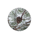 Snowy Pine Cone II Winter Nature Photography Candy Tin