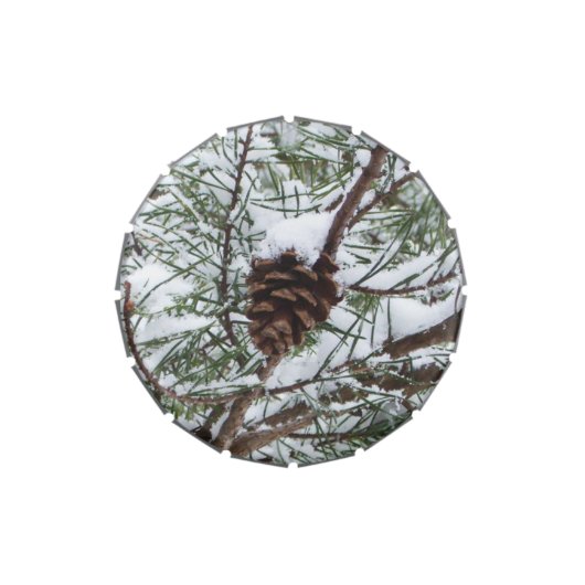 Snowy Pine Cone II Winter Nature Photography Candy Tin (Top)