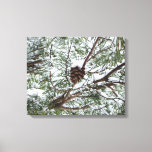 Snowy Pine Cone II Winter Nature Photography Canvas Print