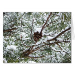 Snowy Pine Cone II Winter Nature Photography Card