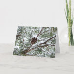 Snowy Pine Cone II Winter Nature Photography Card