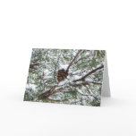 Snowy Pine Cone II Winter Nature Photography Card