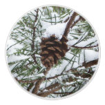 Snowy Pine Cone II Winter Nature Photography Ceramic Knob