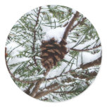 Snowy Pine Cone II Winter Nature Photography Classic Round Sticker