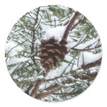 Snowy Pine Cone II Winter Nature Photography Classic Round Sticker