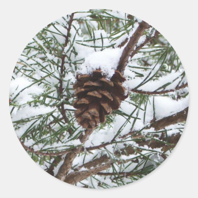 Snowy Pine Cone II Winter Nature Photography Classic Round Sticker (Front)