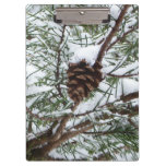Snowy Pine Cone II Winter Nature Photography Clipboard