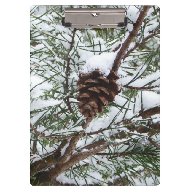 Snowy Pine Cone II Winter Nature Photography Clipboard (Front)