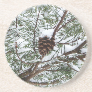 Snowy Pine Cone II Winter Nature Photography Drink Coaster
