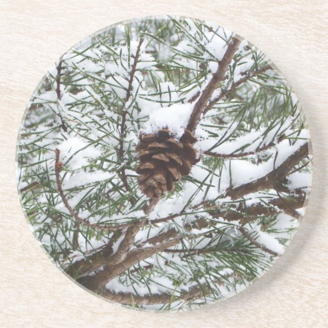 Snowy Pine Cone II Winter Nature Photography Drink Coaster (Front)