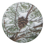 Snowy Pine Cone II Winter Nature Photography Eraser