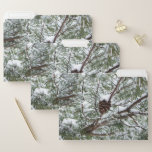 Snowy Pine Cone II Winter Nature Photography File Folder