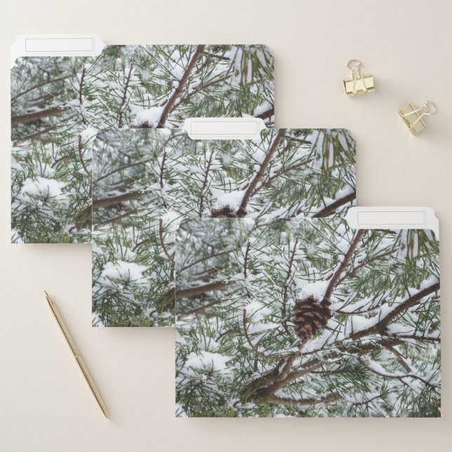 Snowy Pine Cone II Winter Nature Photography File Folder (Set)