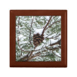 Snowy Pine Cone II Winter Nature Photography Gift Box