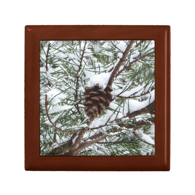 Snowy Pine Cone II Winter Nature Photography Gift Box (Front)