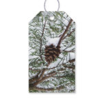 Snowy Pine Cone II Winter Nature Photography Gift Tags