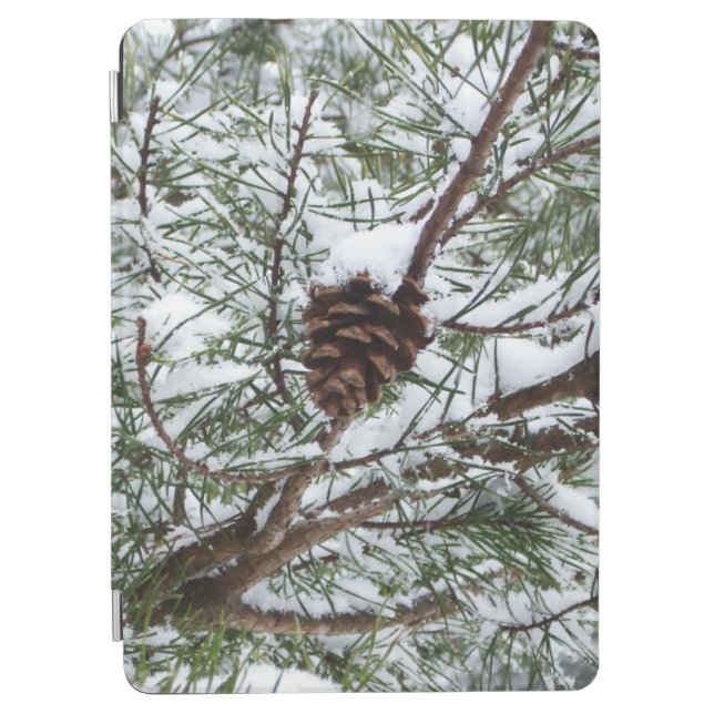 Snowy Pine Cone II Winter Nature Photography iPad Air Cover (Front)