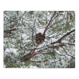 Snowy Pine Cone II Winter Nature Photography Jigsaw Puzzle