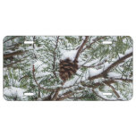 Snowy Pine Cone II Winter Nature Photography License Plate