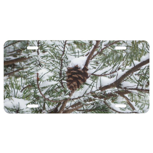 Snowy Pine Cone II Winter Nature Photography License Plate (Front)