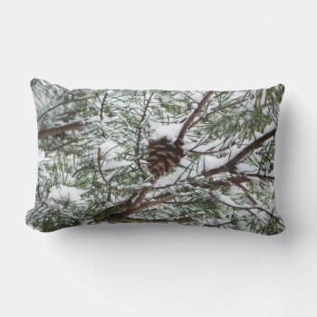 Snowy Pine Cone Ii Winter Nature Photography Lumbar Pillow by mlewallpapers at Zazzle