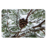 Snowy Pine Cone II Winter Nature Photography Magnet
