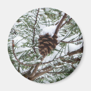 Snowy Pine Cone II Winter Nature Photography Magnet