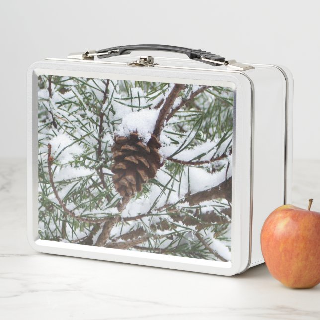 Snowy Pine Cone II Winter Nature Photography Metal Lunch Box (In Situ)