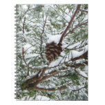 Snowy Pine Cone II Winter Nature Photography Notebook