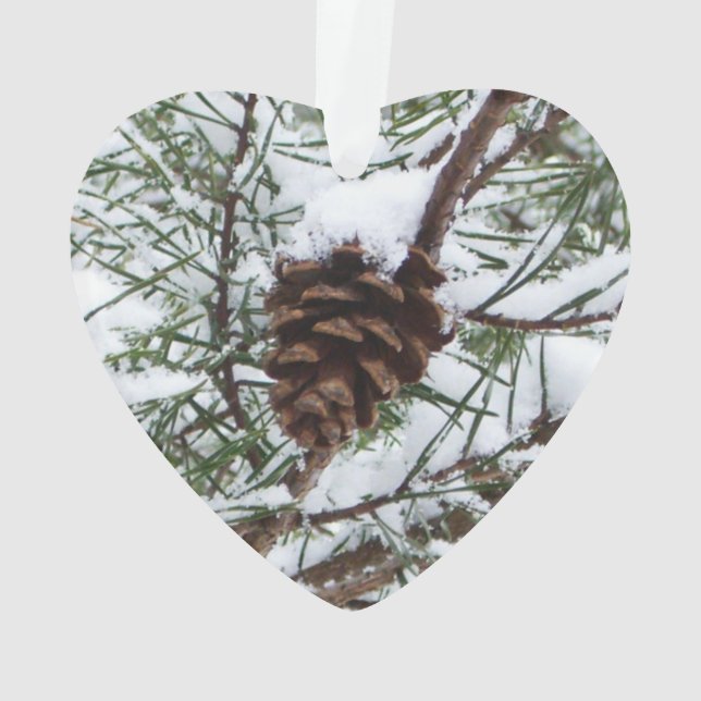 Snowy Pine Cone II Winter Nature Photography Ornament (Back)